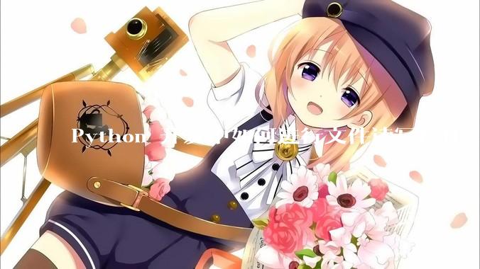 Python 开发中如何进行文件读写操作?