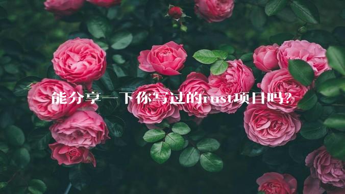 能分享一下你写过的rust项目吗?