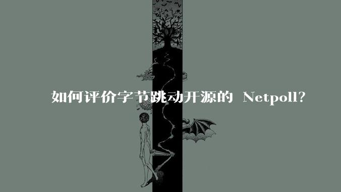 如何评价字节跳动开源的 Netpoll?