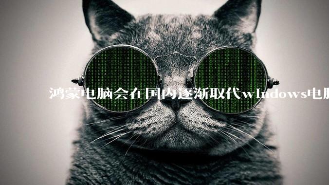 鸿蒙电脑会在国内逐渐取代windows电脑吗?