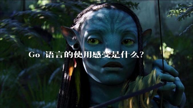 Go 语言的使用感受是什么?
