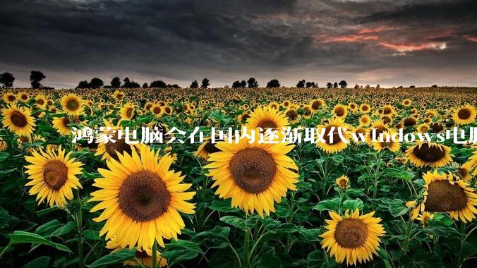 鸿蒙电脑会在国内逐渐取代windows电脑吗?