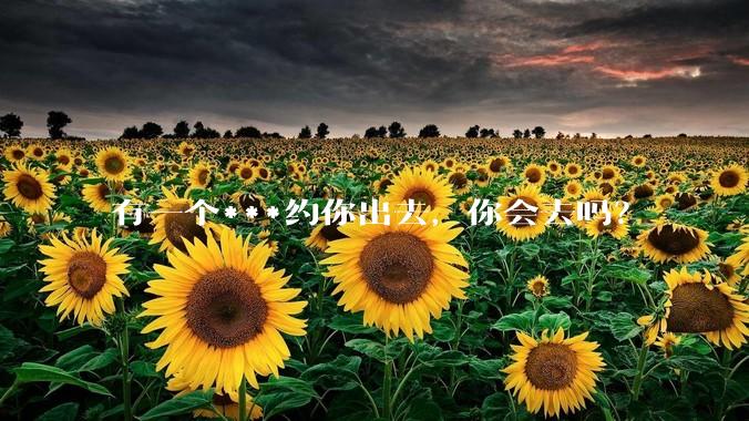 有一个***约你出去,你会去吗?