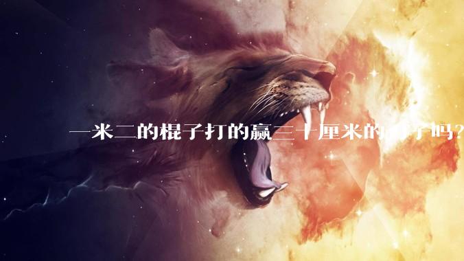 一米二的棍子打的赢三十厘米的刀子吗?