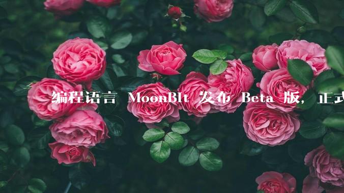 编程语言 MoonBit 发布 Beta 版,正式进入企业场景应用,会带来哪些影响?