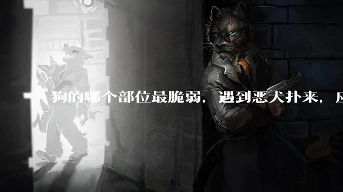 狗的哪个部位最脆弱,遇到恶犬扑来,应该打它哪里?