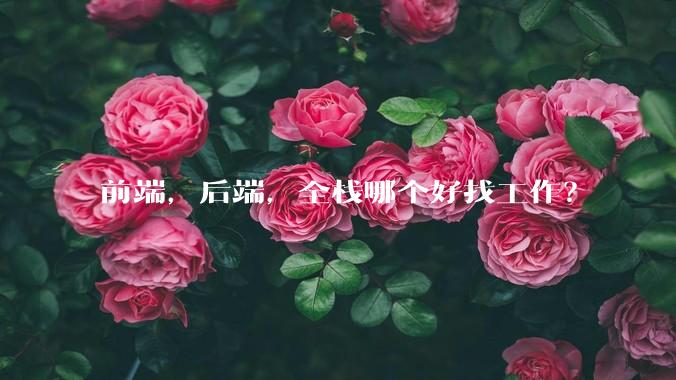 前端,后端,全栈哪个好找工作?