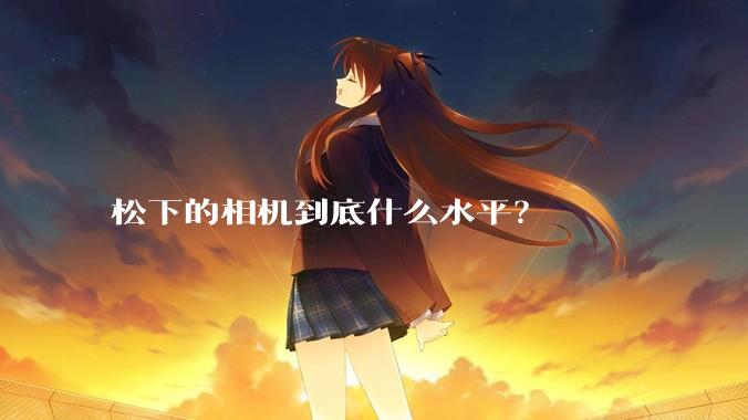 松下的相机到底什么水平?