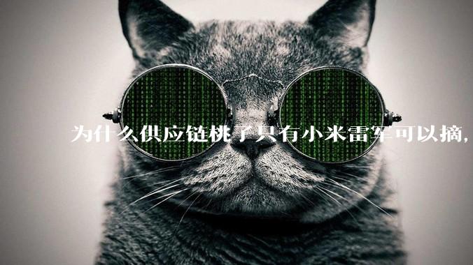 为什么供应链桃子只有小米雷军可以摘,其他人只能干瞪眼?