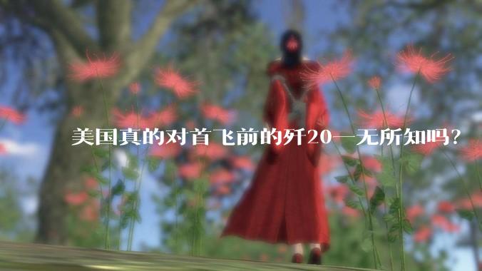 美国真的对首飞前的歼20一无所知吗?