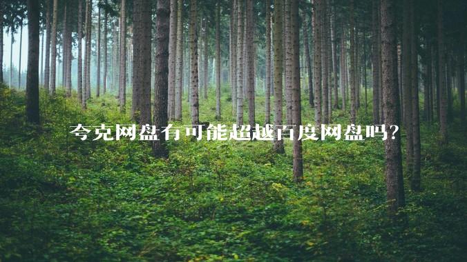 夸克网盘有可能超越百度网盘吗?
