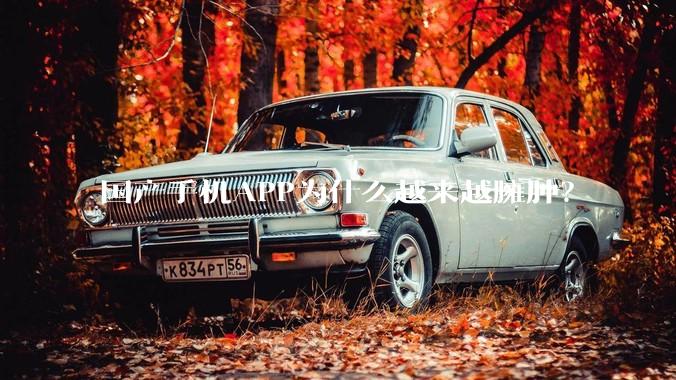 国产手机APP为什么越来越臃肿?