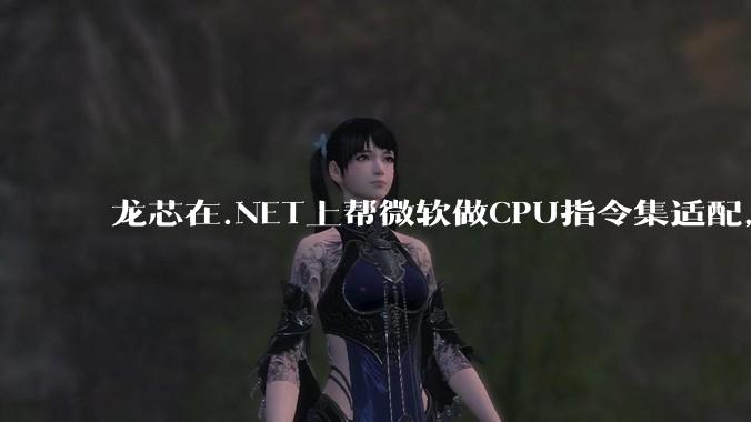 龙芯在.NET上帮微软做CPU指令集适配,为什么到国内.NET开发者这里成了维护龙芯.NET版本?