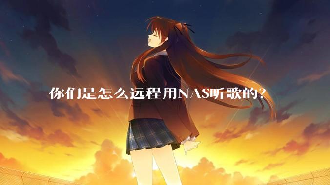 你们是怎么远程用NAS听歌的?