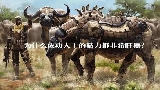 为什么成功人士的精力都非常旺盛?
