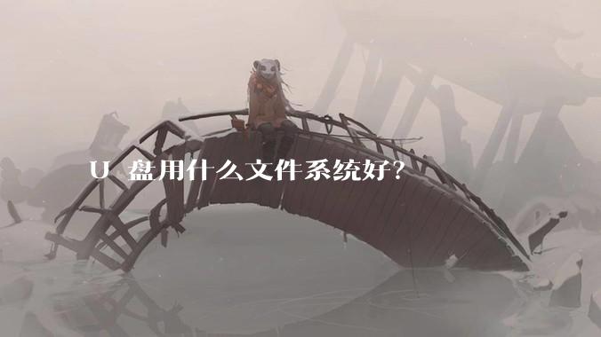 U 盘用什么文件系统好?