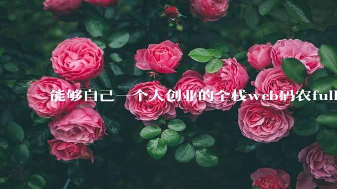 能够自己一个人创业的全栈web码农fullstack developer要会哪些技术?