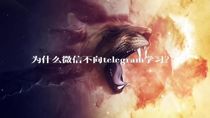 为什么微信不向telegram学习?