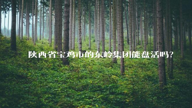 陕西省宝鸡市的东岭集团能盘活吗?
