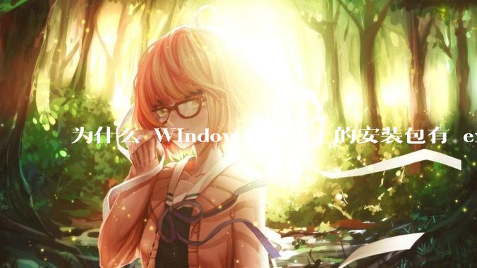 为什么 Windows 系统上的安装包有 exe 和 msi 两种格式,有什么区别?