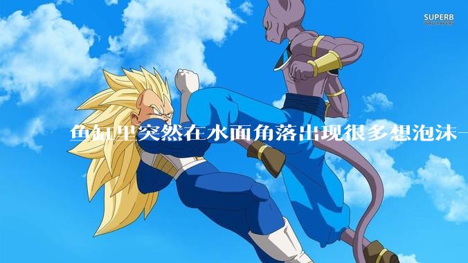 鱼缸里突然在水面角落出现很多想泡沫一样的气泡是怎么回事?