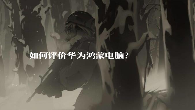 如何评价华为鸿蒙电脑?
