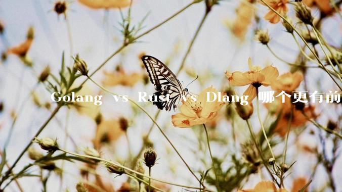 Golang vs Rust vs Dlang 哪个更有前途,哪位大牛这 3 门语言都用过?