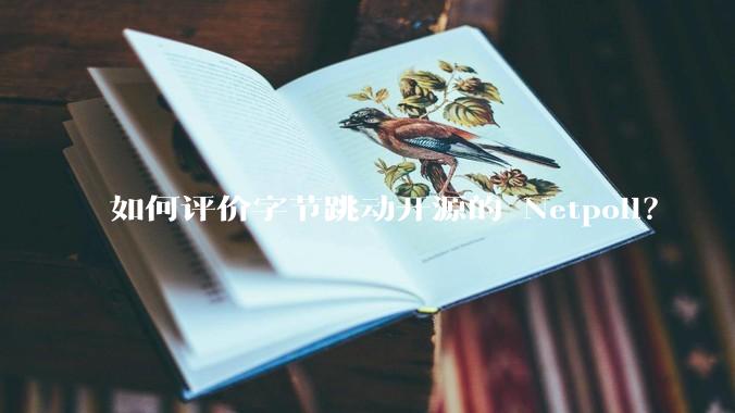 如何评价字节跳动开源的 Netpoll?