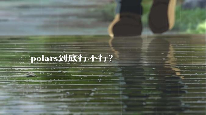 polars到底行不行?