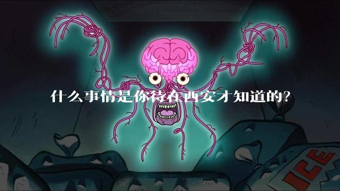 什么事情是你待在西安才知道的?