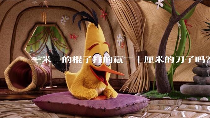 一米二的棍子打的赢三十厘米的刀子吗?