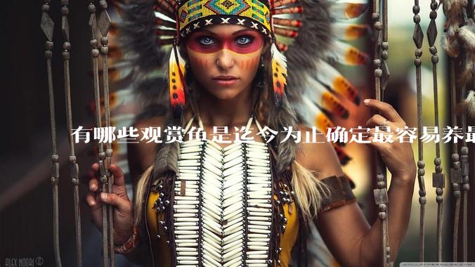 有哪些观赏鱼是迄今为止确定最容易养最不容易死的?