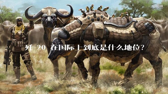 歼-20 在国际上到底是什么地位?