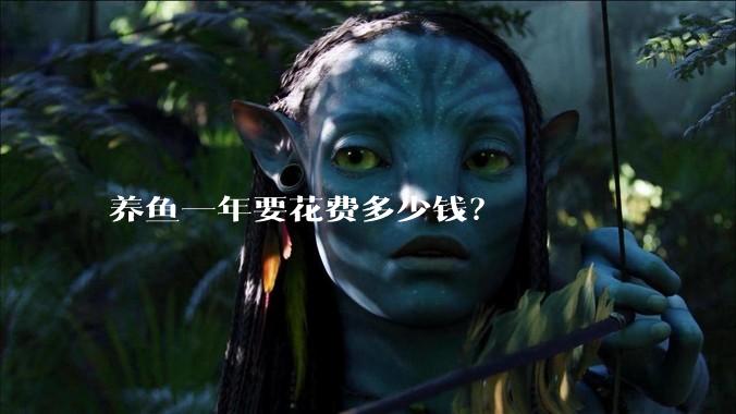 养鱼一年要花费多少钱?