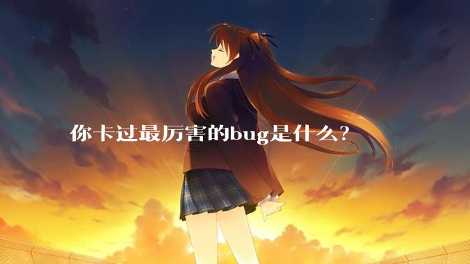你卡过最厉害的bug是什么?