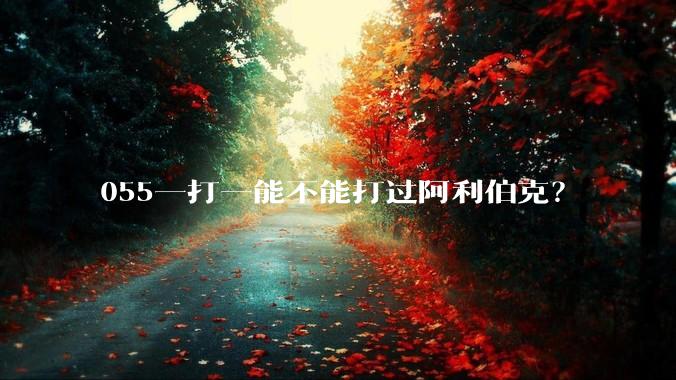 055一打一能不能打过阿利伯克?
