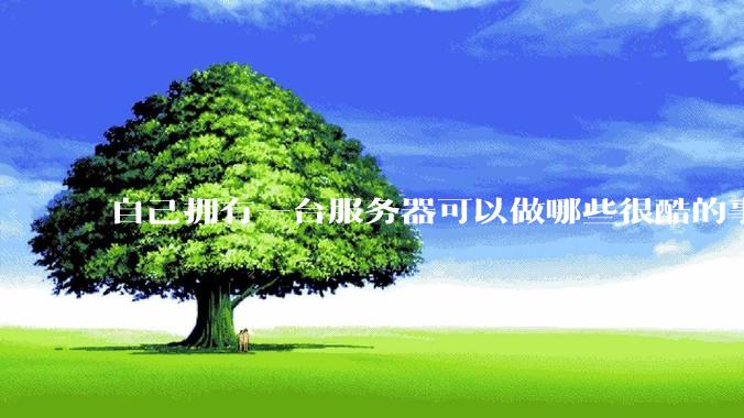 自己拥有一台服务器可以做哪些很酷的事情?