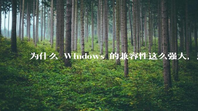 为什么 Windows 的兼容性这么强大,到底用了什么技术?