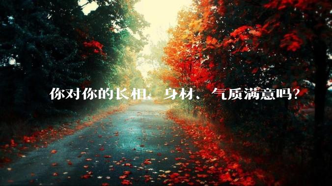 你对你的长相、身材、气质满意吗?