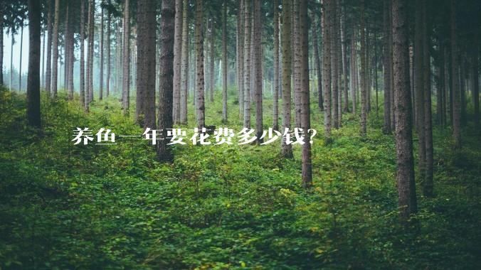 养鱼一年要花费多少钱?