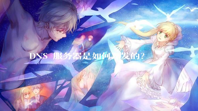 DNS 服务器是如何开发的?