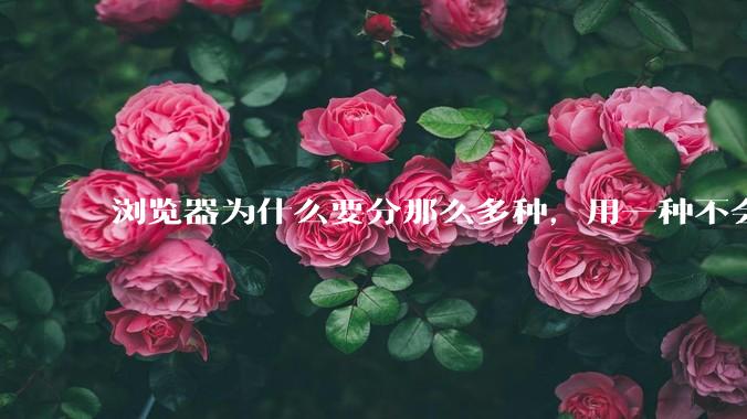 浏览器为什么要分那么多种,用一种不会很快捷吗?