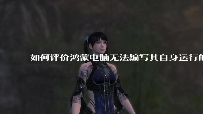 如何评价鸿蒙电脑无法编写其自身运行的程序?