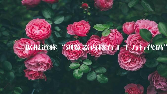 据报道称“浏览器内核有上千万行代码”,浏览器内核真的很复杂吗?