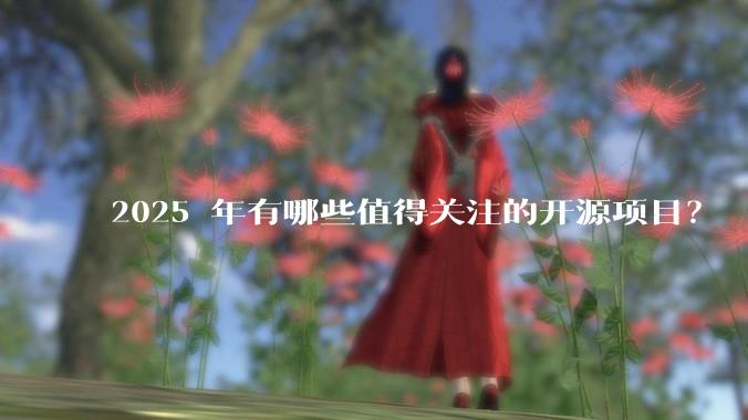 2025 年有哪些值得关注的开源项目?