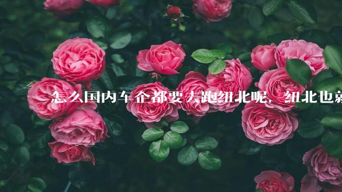 怎么国内车企都要去跑纽北呢,纽北也就是个普通赛道?