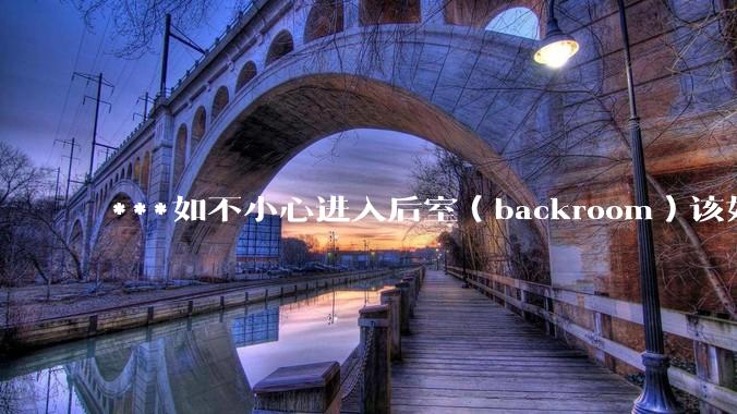 ***如不小心进入后室(backroom)该如何求生?