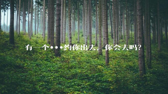 有一个***约你出去,你会去吗?