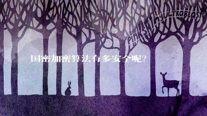 国密加密算法有多安全呢?