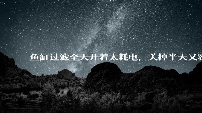 鱼缸过滤全天开着太耗电,关掉半天又容易水浑,有什么好办法?